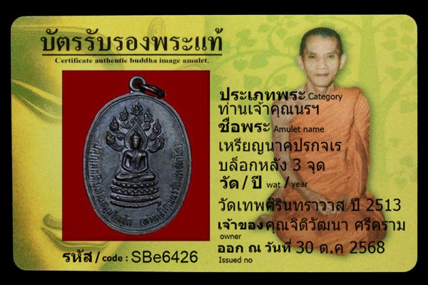 เหรียญนาคปรกจเร บล็อกหลัง 3 จุด