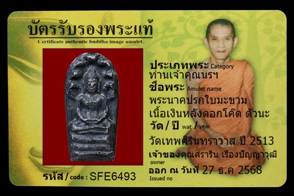 พระนาคปรกใบมะขาม เนื้อเงินหลังตอกโค๊ต ตัวนะ