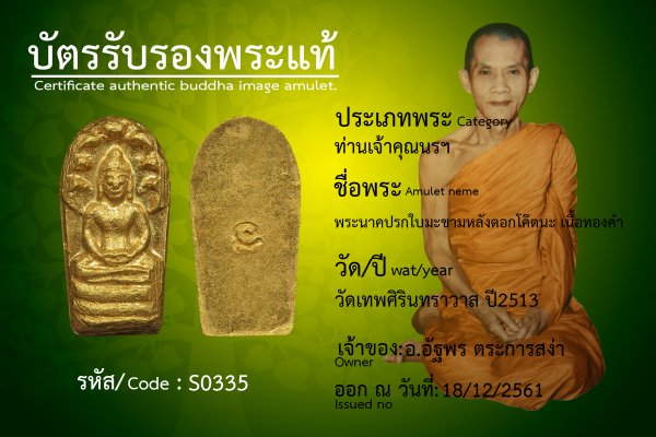 พระนาคปรกใบมะขามหลังตอกโค๊ตนะ เนื้อทองคำ