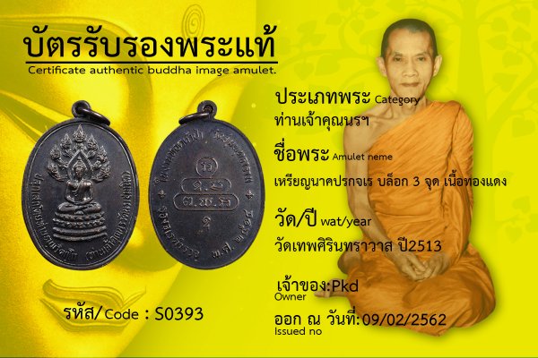 เหรียญนาคปรกจเร บล๊อก3จุด เนื้อทองแดง