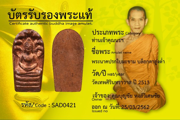 พระนาคปรกใบมะขามบล็อกตาสู่งต่ำ