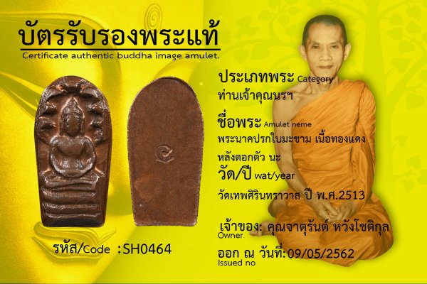 พระนาคปรกใบมะขาม เนื้อทองแดง หลังตอกตัว นะ