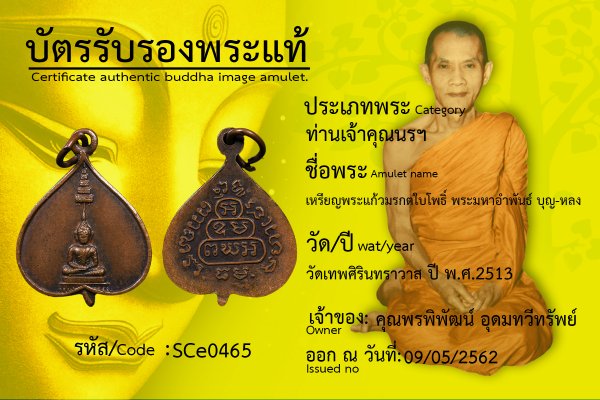 เหรียญพระแก้วมรกตใบโพธิ์ พระมหาอำพันธ์ บุญ-หลง