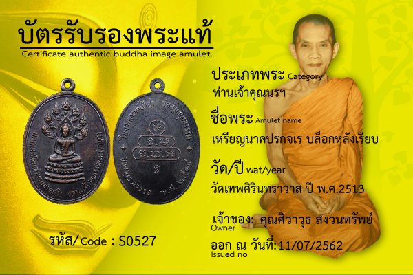 เหรียญนาคปรกจเร บล็อกหลังเรียบ 