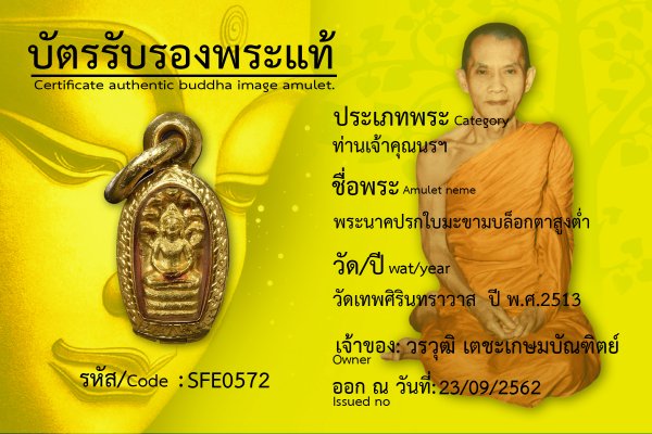 พระนาคปรกใบมะขามบล็อกตาสูงต่ำ