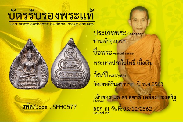 พระนาคปรกใบโพธิ์  เนื้อเงิน