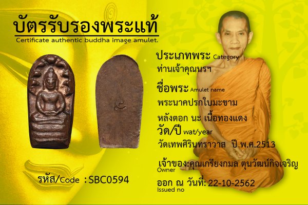 พระนาคปรกใบมะขามหลังตอก นะ เนื้อทองแดง