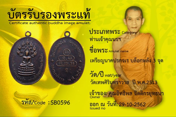 เหรียญนาคปรกจเร บล็อกหลัง 3 จุด