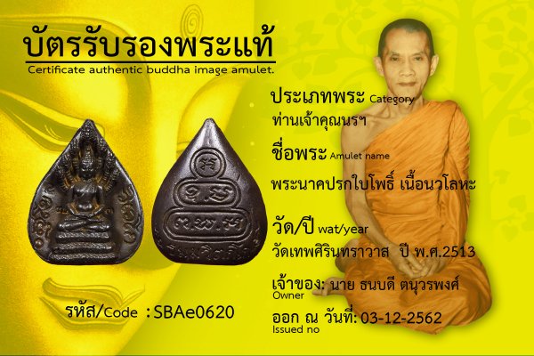 พระนาคปรกใบโพธิ์ เนื้อนวโลหะ