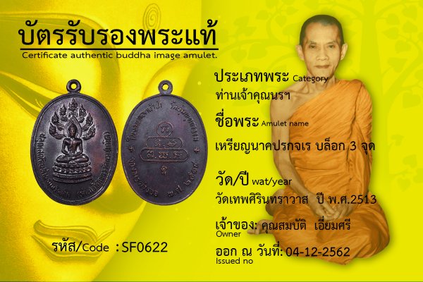 เหรียญนาคปรกจเร บล็อก 3 จุด 