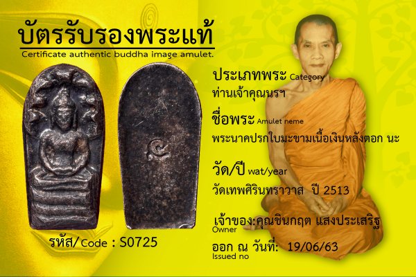 พระนาคปรกใบมะขามเนื้อเงินหลังตอกโค๊ต นะ