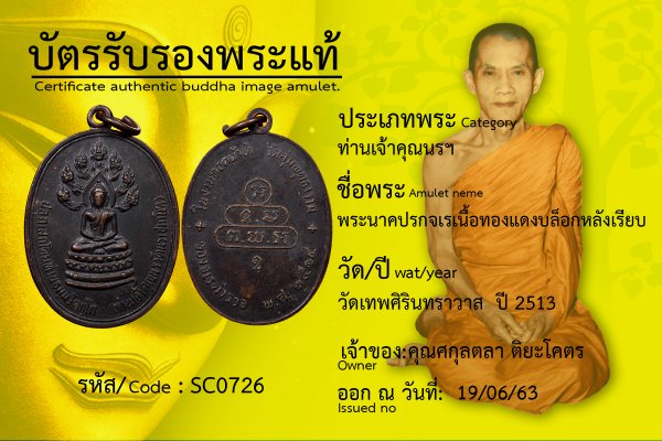 เหรียญนาคปรกจเร บล็อกหลังเรียบ