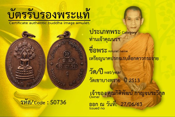 เหรียญนาคปรกจเรบล็อกดาวกระจาย