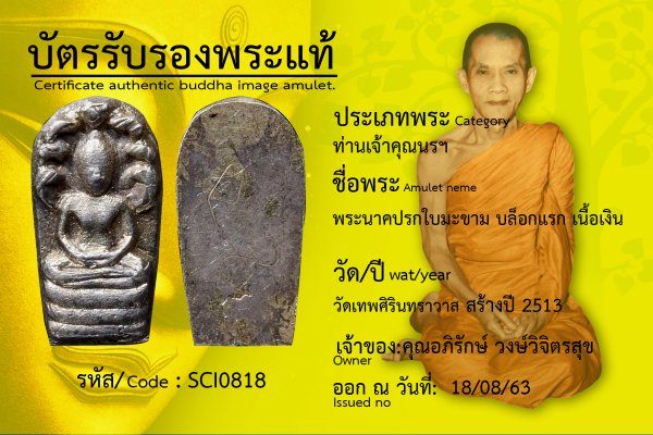 พระนาคปรกใบมะขาม บล็อกแรก เนื้อเงิน      