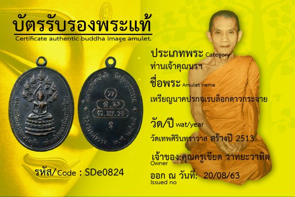 เหรียญนาคปรกจเรบล็อกดาวกระจาย