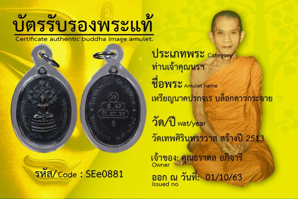 เหรียญนาคปรกจเร บล็อกดาวกระจาย