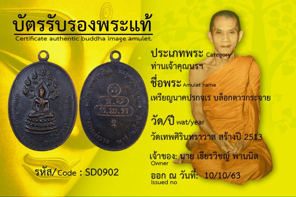 เหรียญนาคปรกจเร บล็อกดาวกระจาย