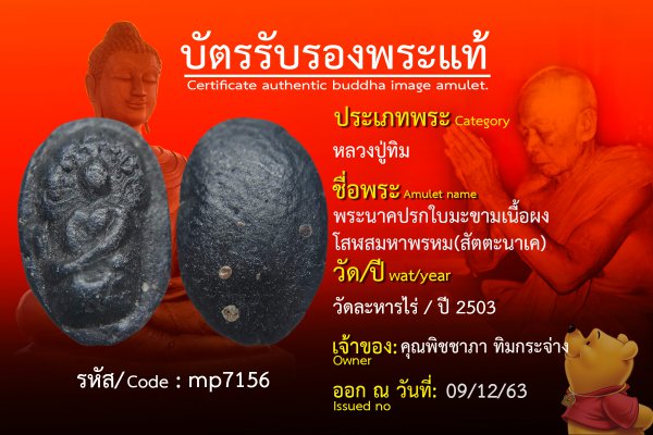 พระนาคปรกใบมะขามเนื้อผงโสฬสมหาพรหม(สัตตะนาเค)