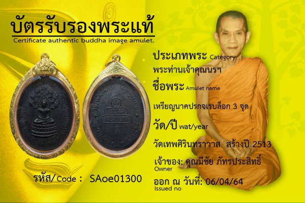 เหรียญนาคปรกจเรบล็อก 3 จุด