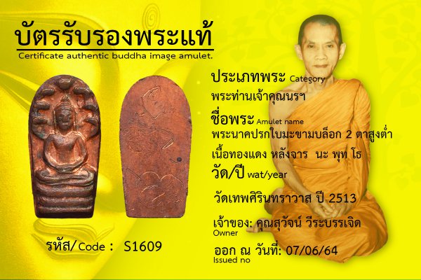 พระนาคปรกใบมะขาม บล็อก ๒ ตาสูงต่ำ เนื้อทองแดง หลังจาร นะ พุท โธ