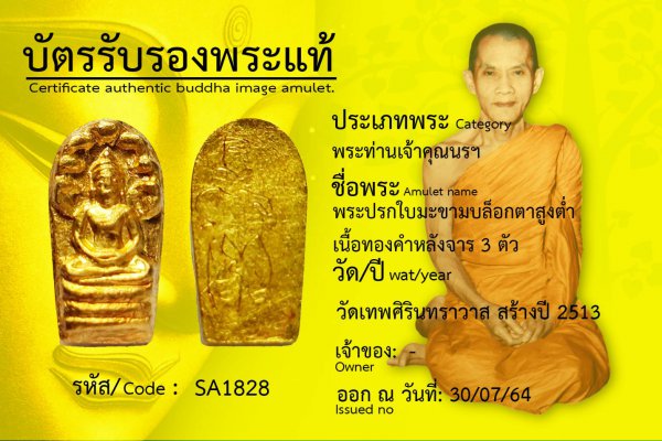 พระนาคปรกใบมะขาม บล็อกตาสูงต่ำ เนื้อทองคำ หลังจาร ๓ ตัว