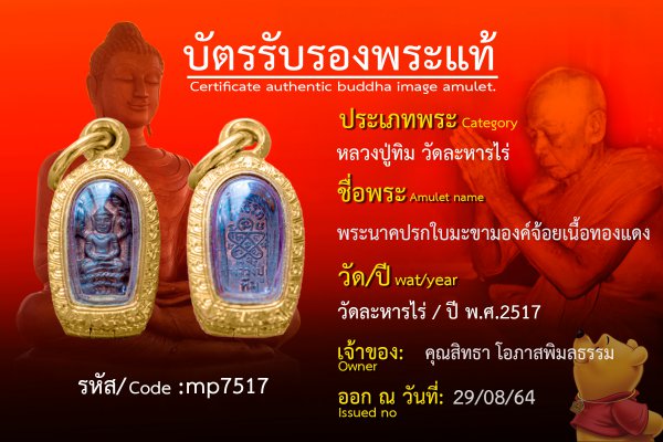 พระนาคปรกใบมะขาม องค์จ้อย เนื้อทองแดง