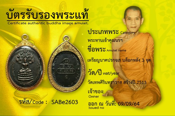 เหรียญนาคปรกจเร บล็อกหลัง 3 จุด