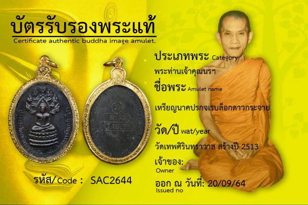 เหรียญนาคปรกจเรบล็อกดาวกระจาย