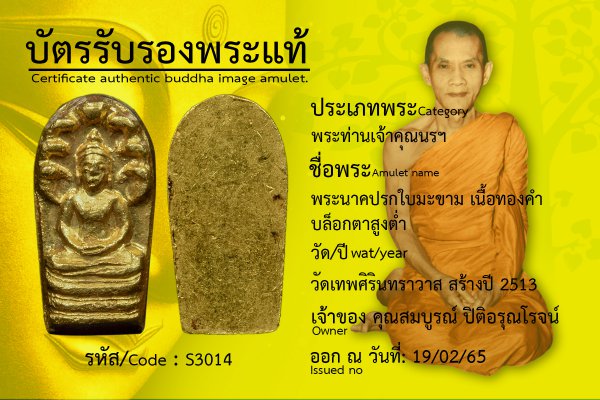 พระนาคปรกใบมะขาม เนื้อทองคำ บล็อกตาสูงต่ำ