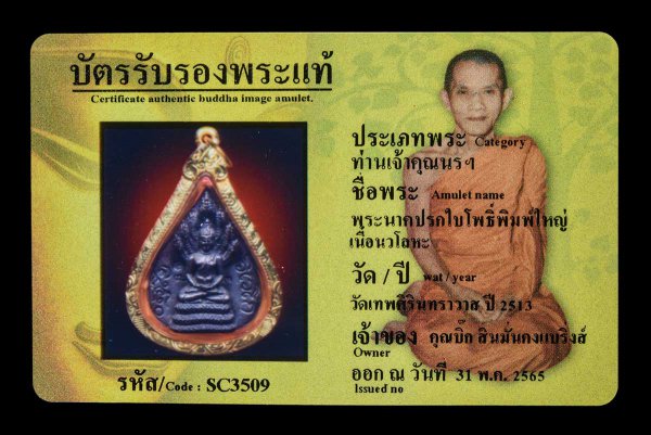 พระนาคปรกใบโพธิ์พิมพ์ใหญ่ เนื้อนวโละ