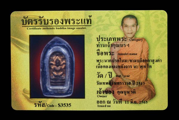 พระนาคปรกใบมะขามบล็อกตาสูงต่ำ เนื้อทองแดงหลังจาร นะ พุท โท