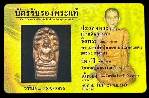 พระนาคปรกใบมะขามเนื้อทองแดง บล็อก 2 ตาสู่งต่ำ