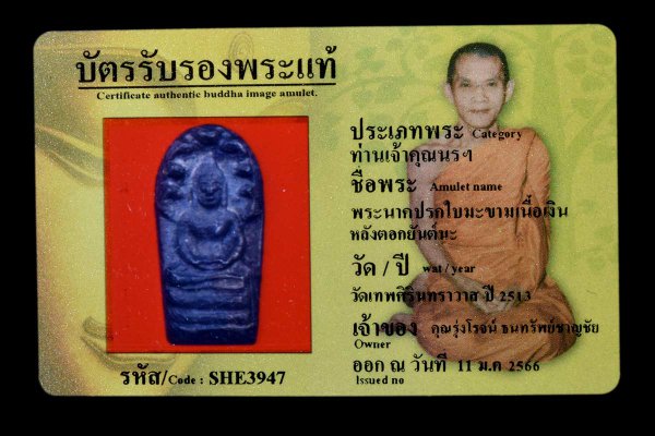 พระนาคปรกใบมะขามเนื้อเงิน หลังตอกยันต์นะ