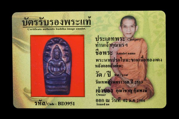 พระนาคปรกใบมะขามเนื้อทองแดง หลังตอกยันต์นะ