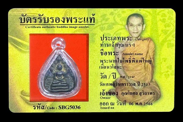 พระนาคใบโพธิ์พิมพ์ใหญ่ เนื้อนวโลหะ