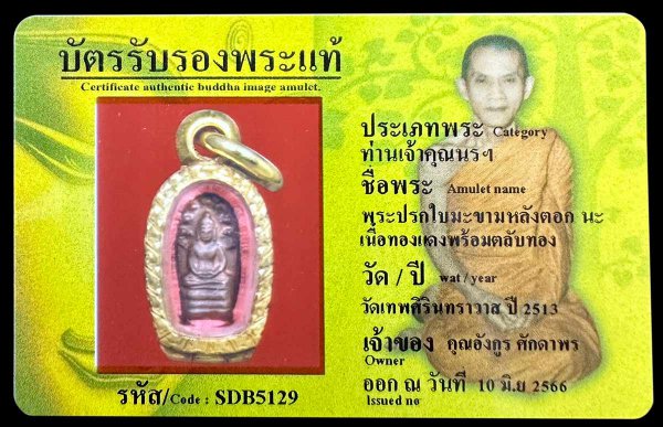 พระปรกใบมะขามหลังตอก นะ เนื้อทองแดงพร้อมตลับทอง