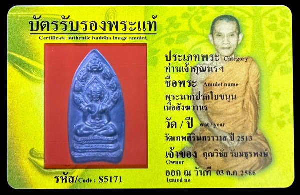 พระนาคปรกใบขนุน เนื้อสังฆวานร