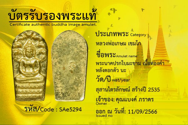 พระนาคปรกใบมะขามเนื้อทองคำ หลังตอกตัว นะ