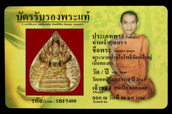 พระนาคปรกใบโพธิ์พิมพ์ใหญ่ เนื้อทองคำ