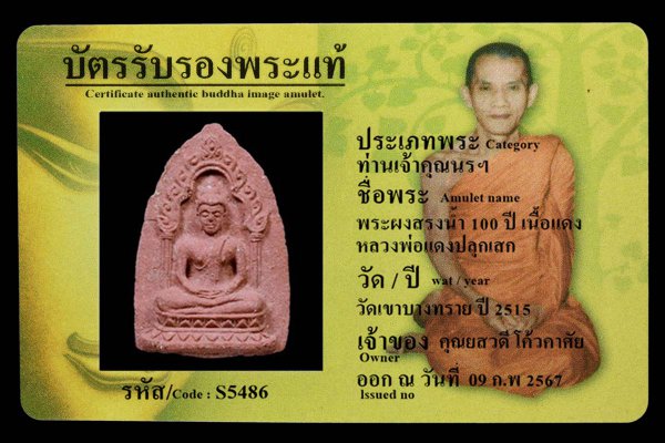 พระผงสรงน้ำ 100 ปี เนื้อแดง หลวงพ่อแดงปลุกเสก