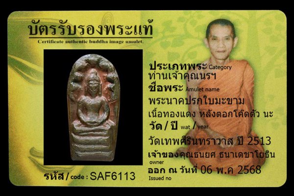 พระนาคปรกใบมะขาม เนื้อทองแดง หลังตอกโค๊ดตัว นะ
