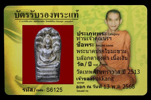 พระนาคปรกใบมะขาม บล๊อกตาสูงต่ำ เนื้อเงิน