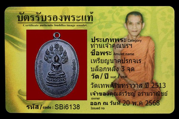 เหรียญนาคปรกจเร บล็อกหลัง 3 จุด