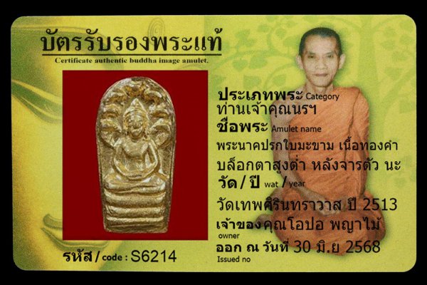 พระนาคปรกใบมะขาม เนื้อทองคำ บล็อกตาสูงต่ำ หลังจารตัว นะ