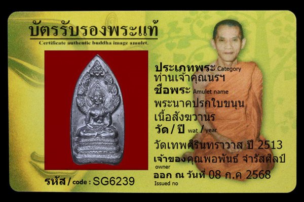 พระนาคปรกใบขนุน เนื้อสังฆวานร