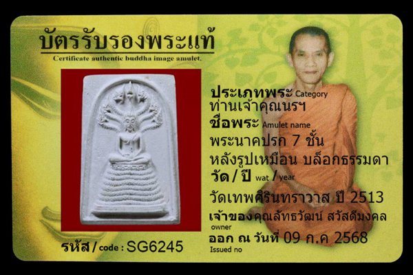 พระนาคปรก 7 ชั้น หลังรูปเหมือน บล็อกธรรมดา