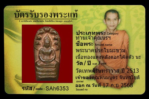 พระนาคปรกใบมะขาม เนื้อทองแดงหลังตอกโค๊ดตัว นะ