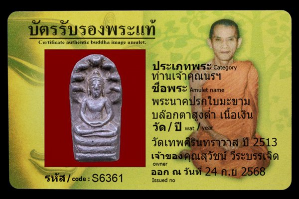 พระนาคปรกใบมะขาม บล๊อกตาสูงต่ำ เนื้อเงิน