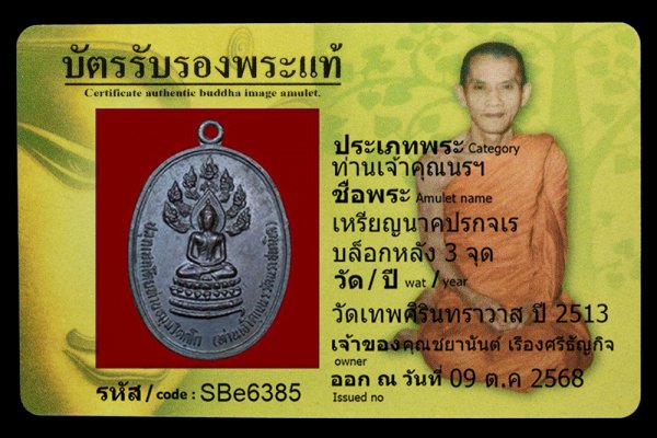 เหรียญนาคปรกจเร บล็อกหลัง 3 จุด