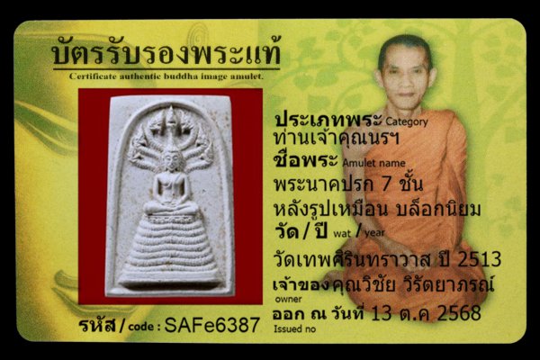 พระนาคปรก 7 ชั้น หลังรูปเหมือน บล็อกนิยม